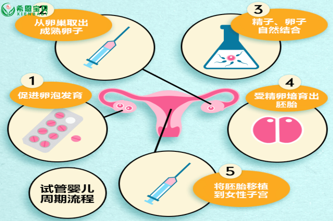 哈萨克斯坦试管婴儿：揭秘助孕流程的每一个精心细节